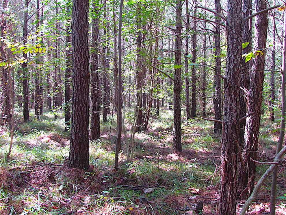 Property for sale at Lot 1 Warrique Rd