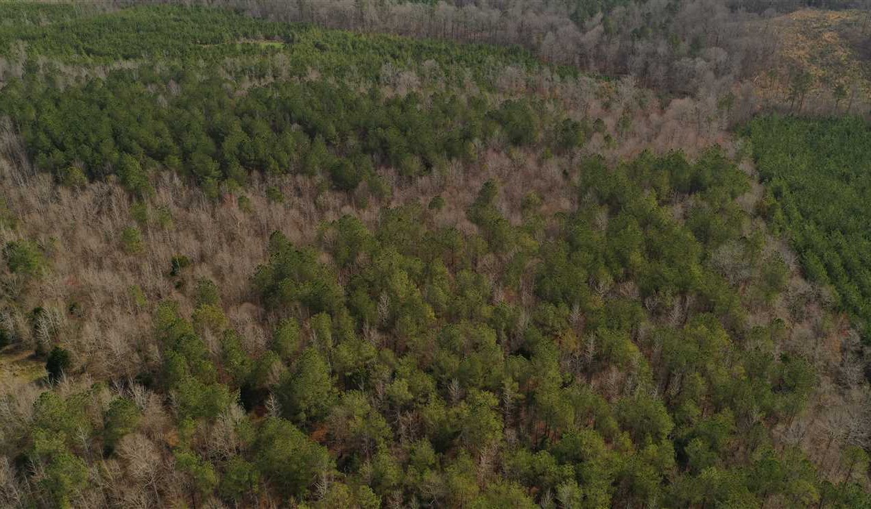 Land for sale at Vail Rd Turnage Rd