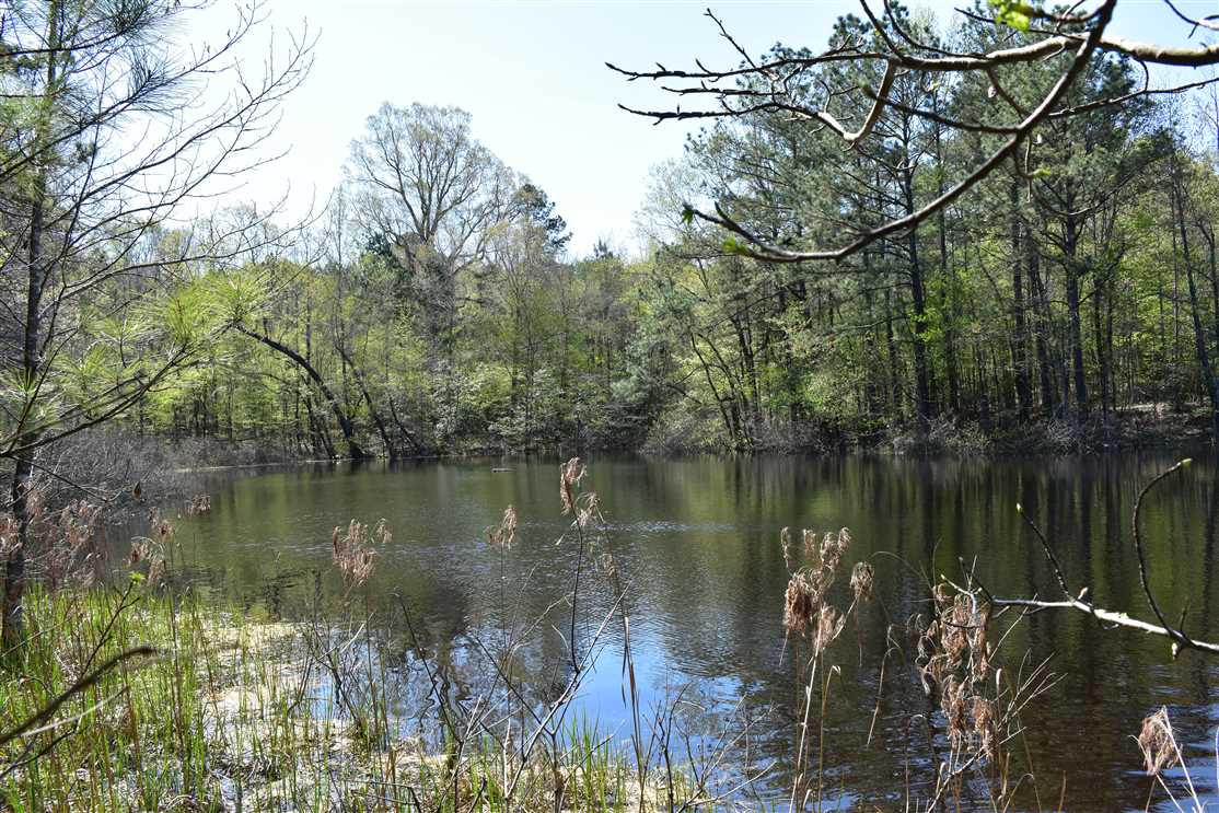 Recreational real estate available to buy