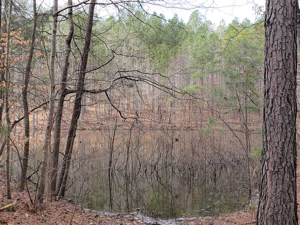 Houses and land for sale in South Carolina