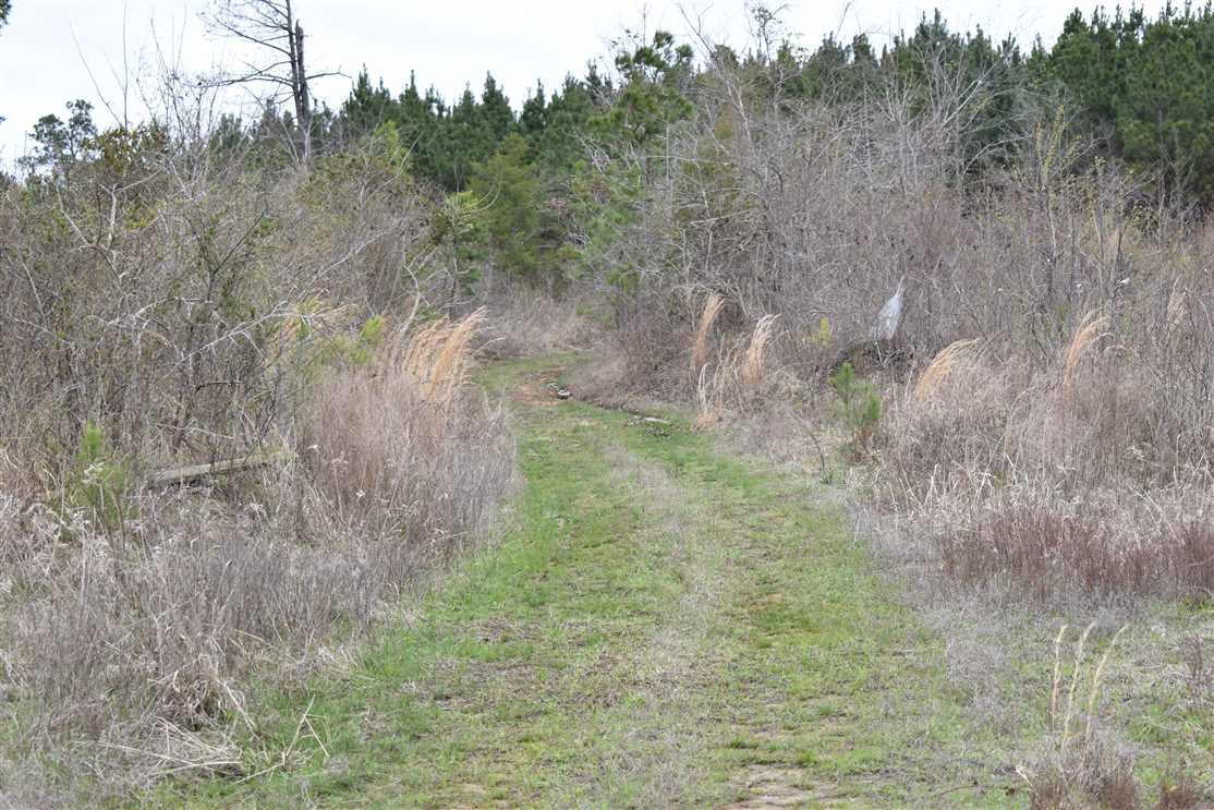 property for sale on The Land Market