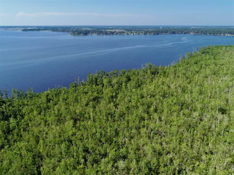 Timberland real estate available to buy