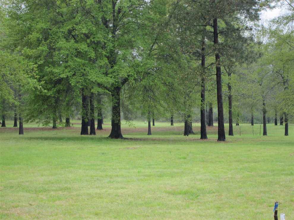 Houses and land for sale in Louisiana