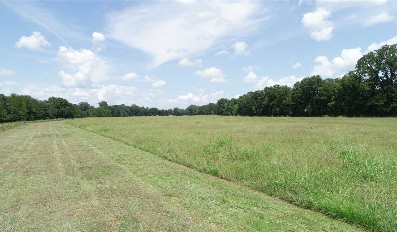 Coco Bed Road and Highway 1, Natchitoches Parish, 52 Acres +/- Real estate listing