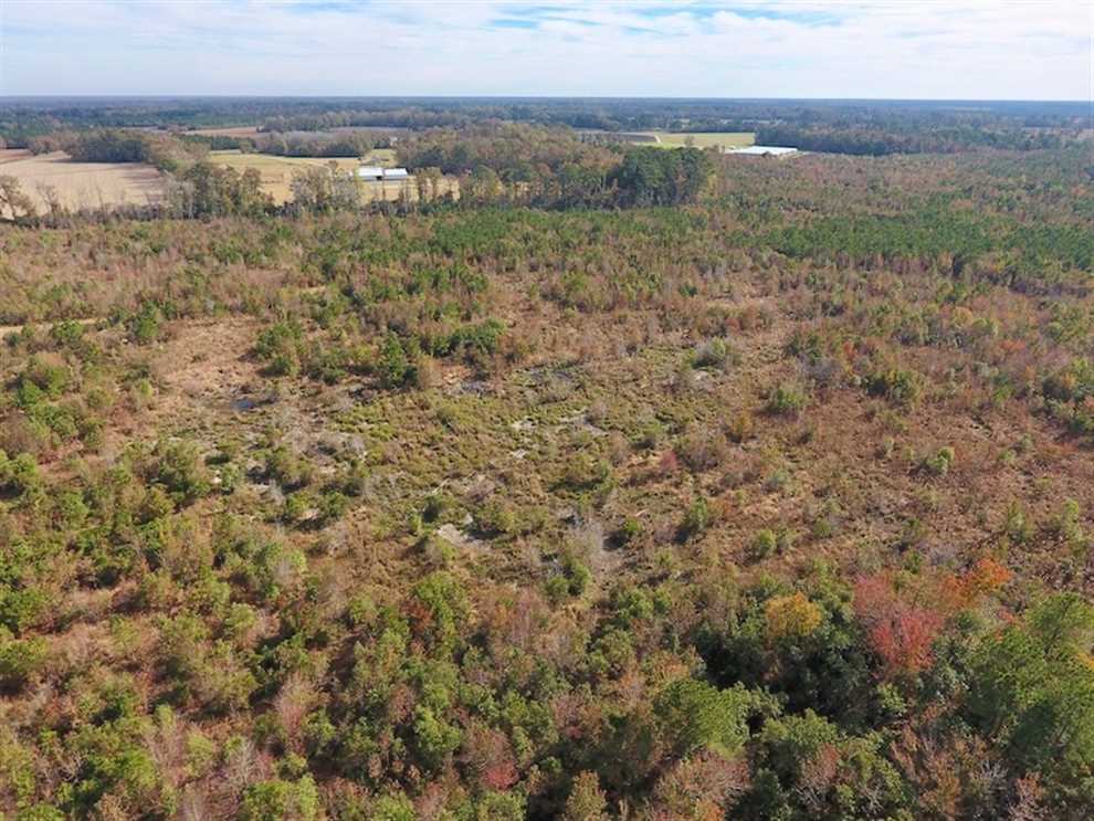 Land for sale to buy in 28523 zip code
