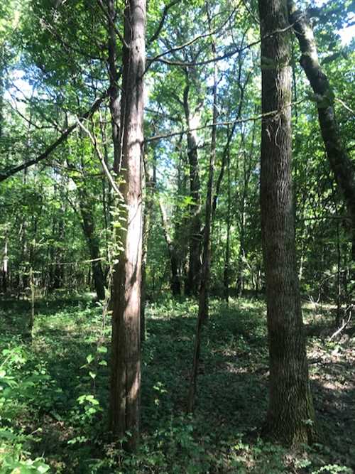 Residential and   property for sale on The Land Market