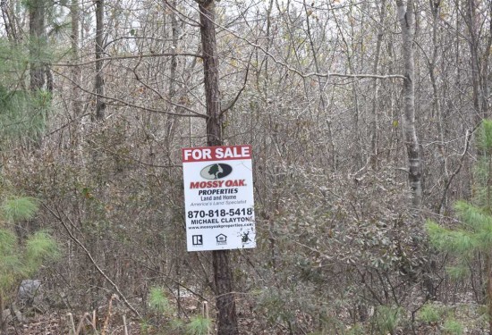 12 Acres of Land for Sale in nevada County Arkansas