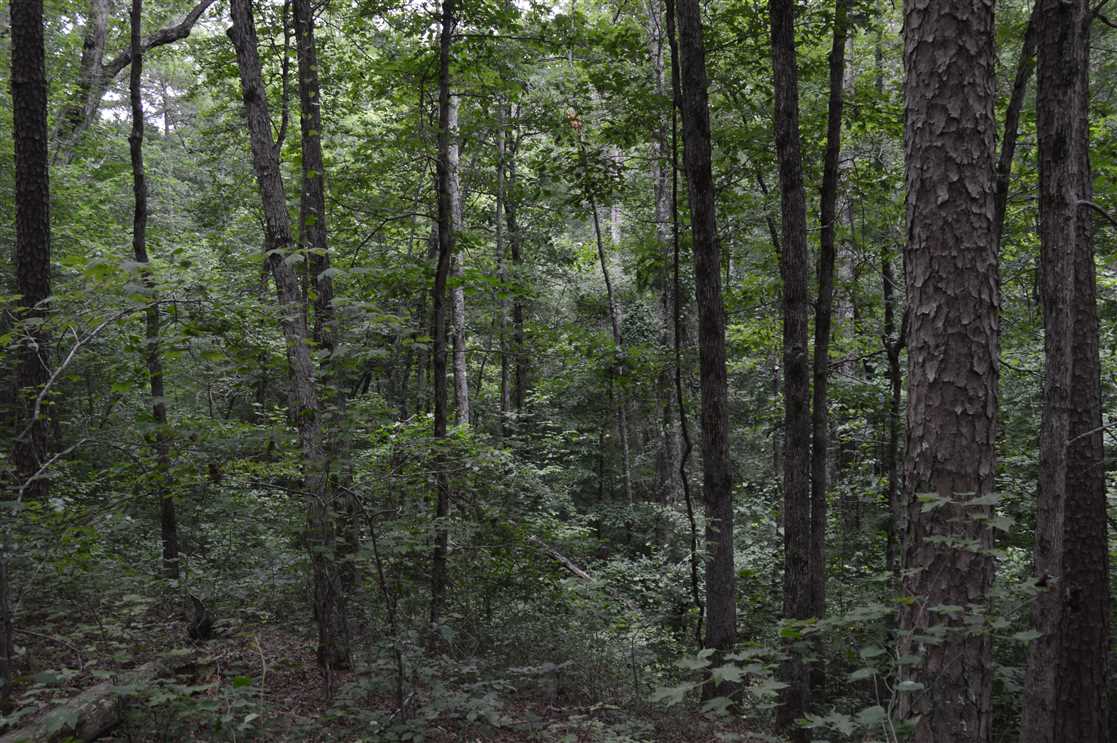 Recreational real estate available to buy