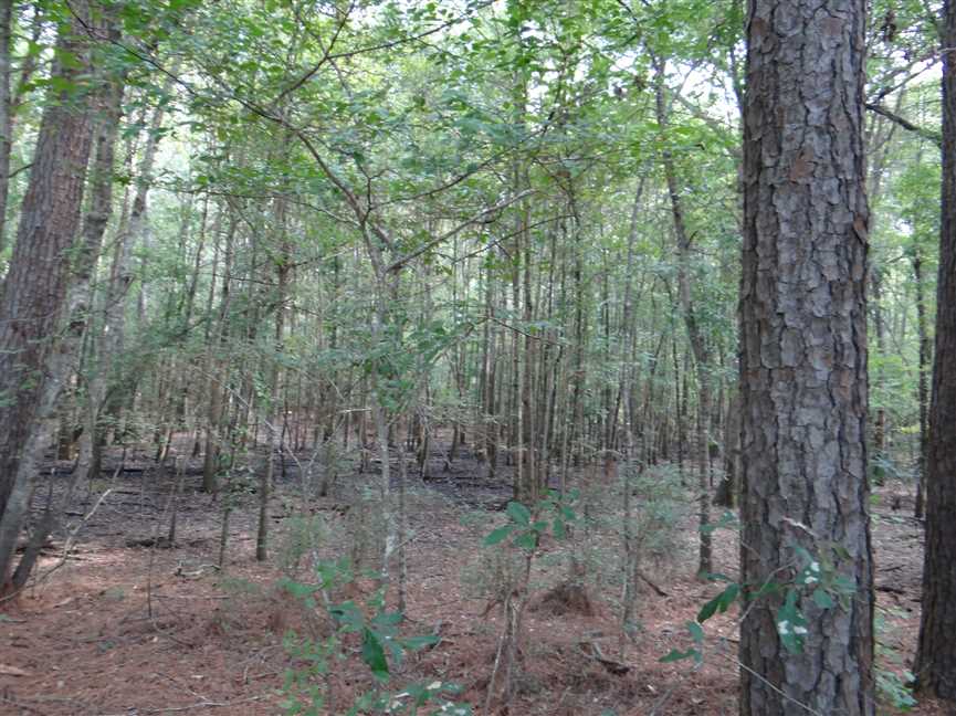 property for sale on The Land Market