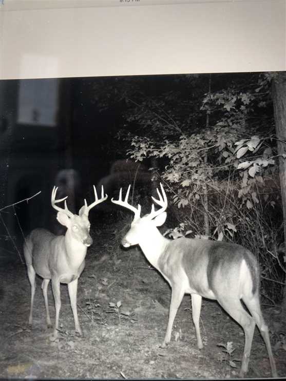 Property for sale at Eason Road