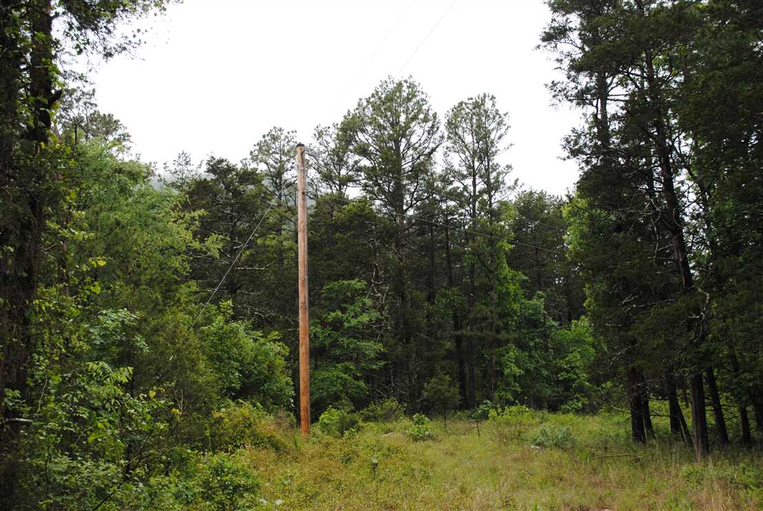 211.21 acres of White River Acreage and Timberland near Optimus, AR Completely Surrounded by National Forest Real estate listing