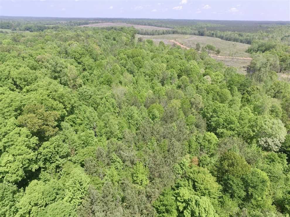 Recreational real estate available to buy