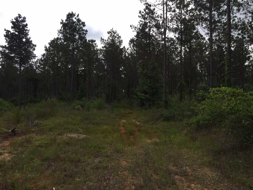 59.94 Acres of Land for sale in union County, Louisiana