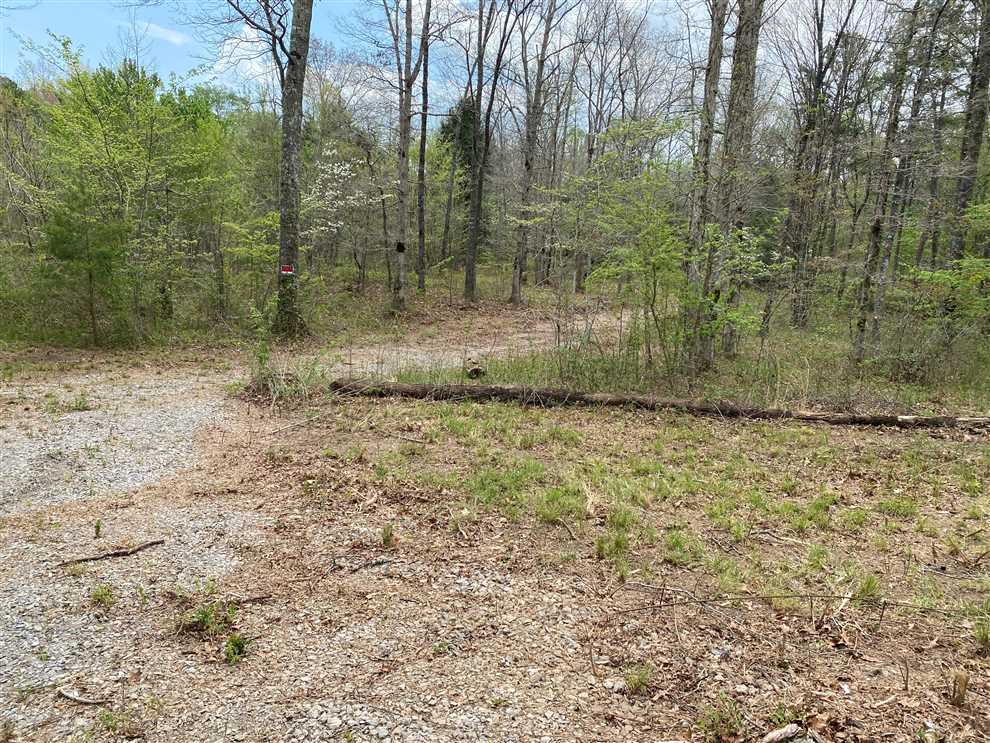 Residential and   property for sale on The Land Market